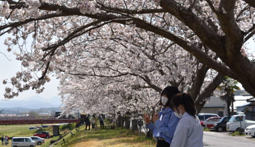 3/30(土)　依那古ふれあい桜祭りを開催します。